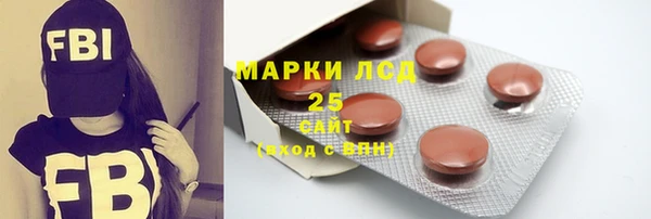 хмурый Вяземский