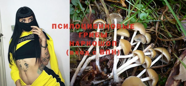 трава Вязники