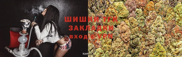 шишки Вязьма