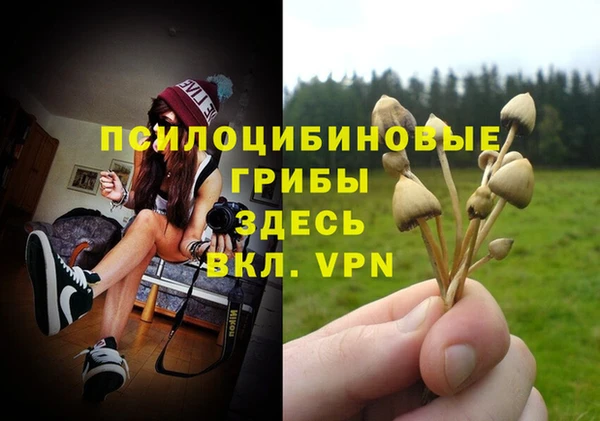 хмурый Вяземский