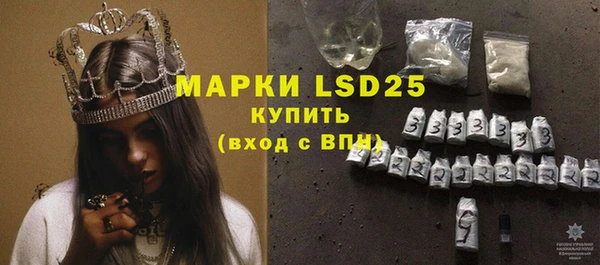 хмурый Вяземский