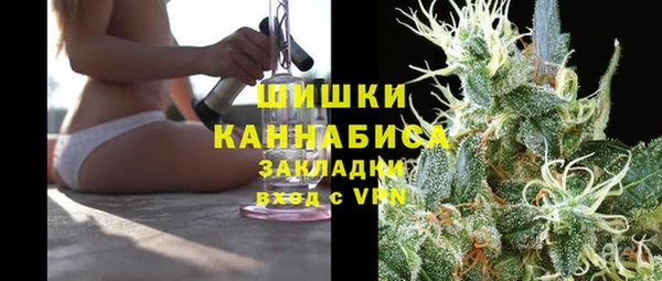 хмурый Вяземский